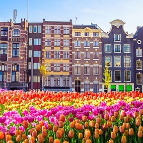 Letchworth to Amsterdam