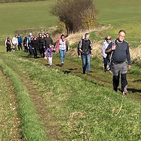 New Year Letchworth Walk