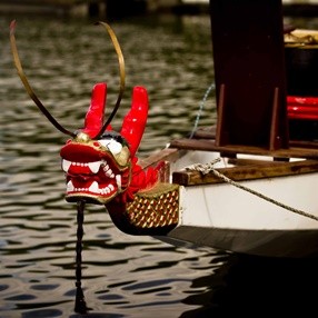 Dragon Boat Racing